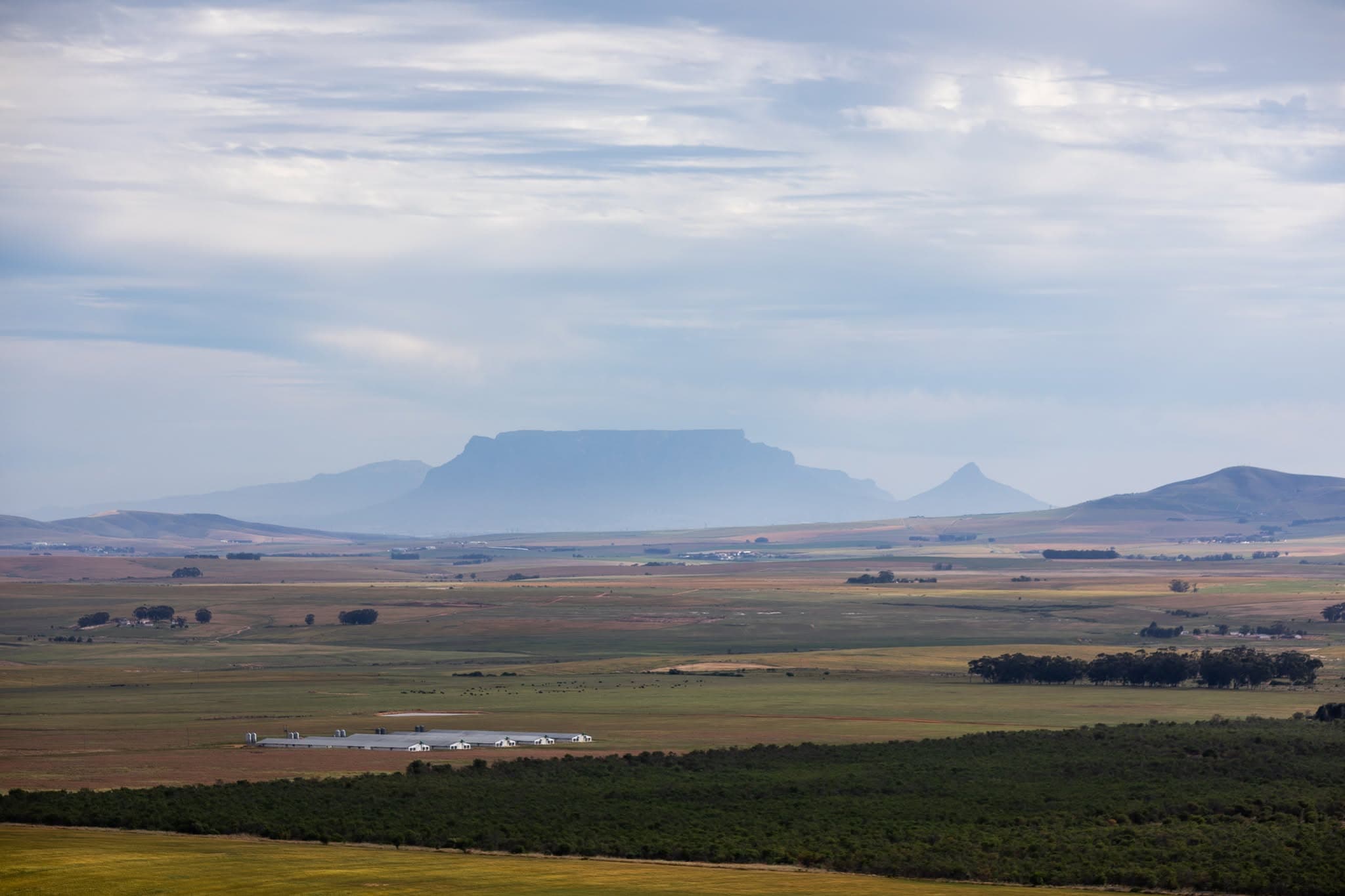 Table Mountain on the horizon from the Nassau Hartklop ceremony lawn