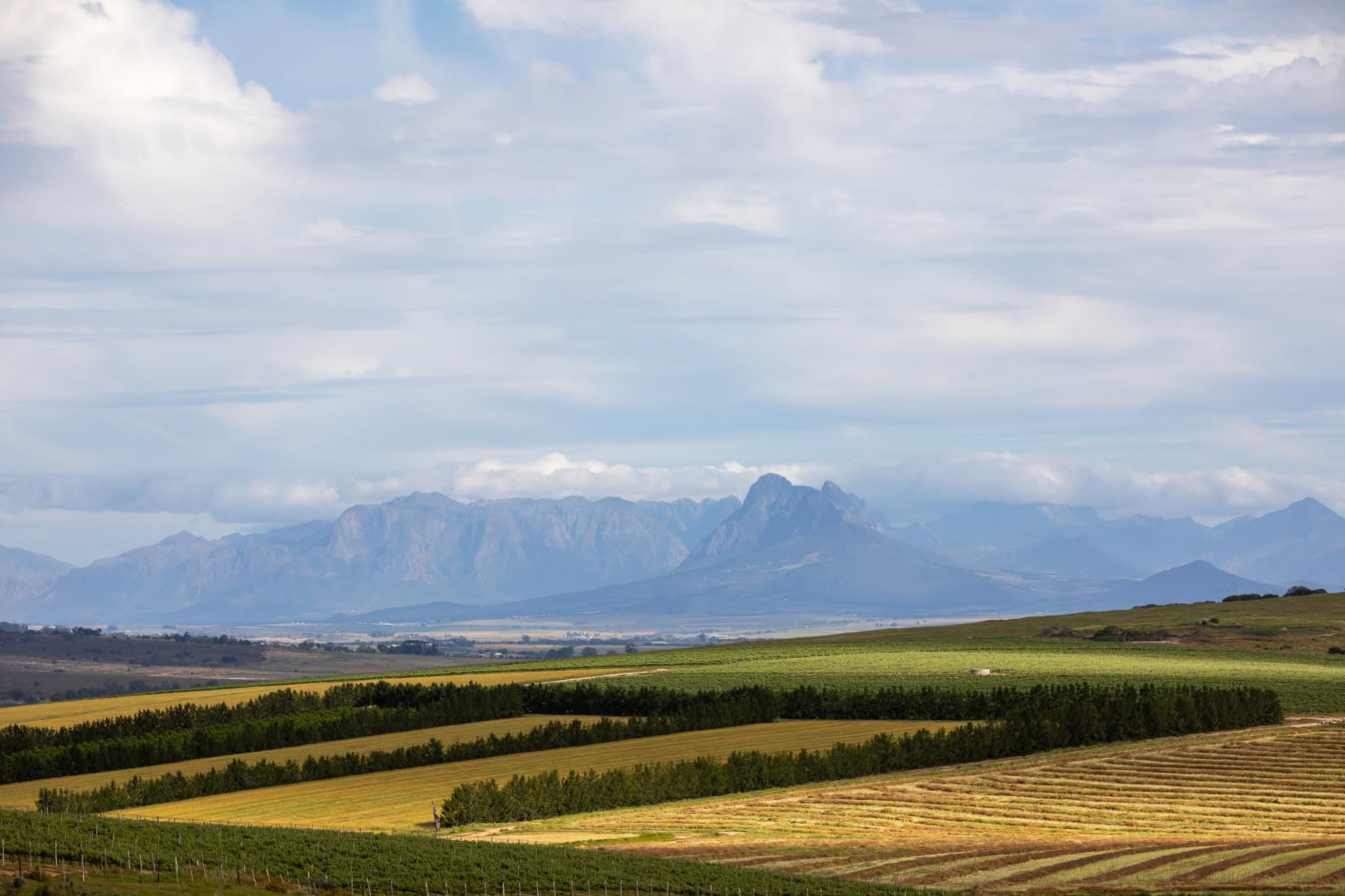 Nassau Farm and the Swartland landscape